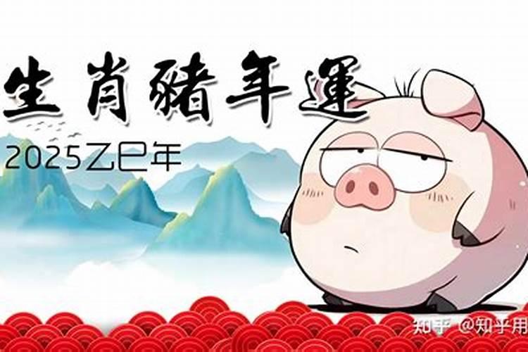 五合生肖是哪几个