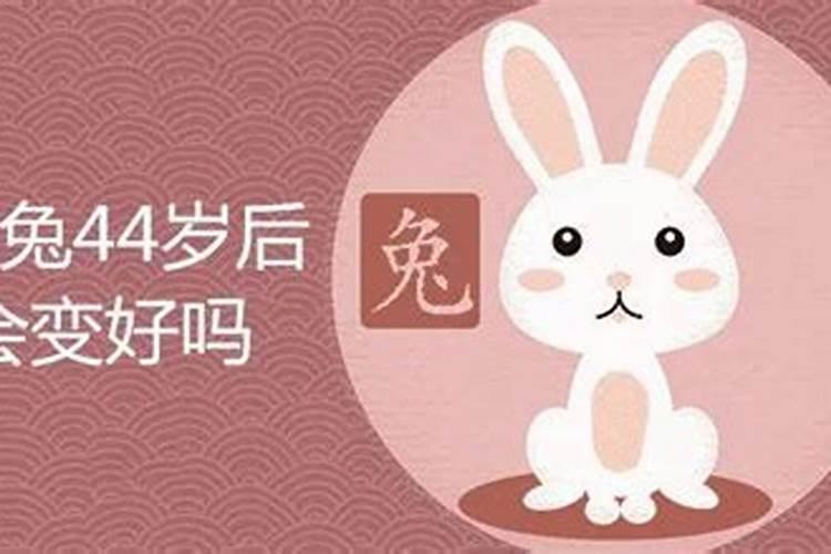 属兔的今天打麻将财运属兔的今天运势和运程？