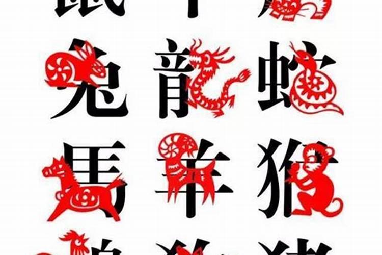 2020年属鼠人本命年犯太岁如何化解,有哪些方法？