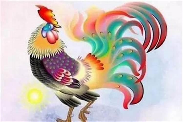 几月的鸡命运最好