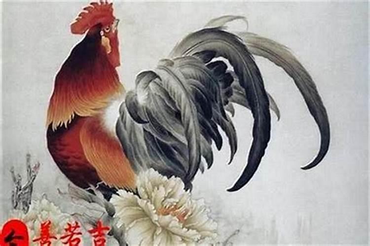 属鸡9月出生命运如何