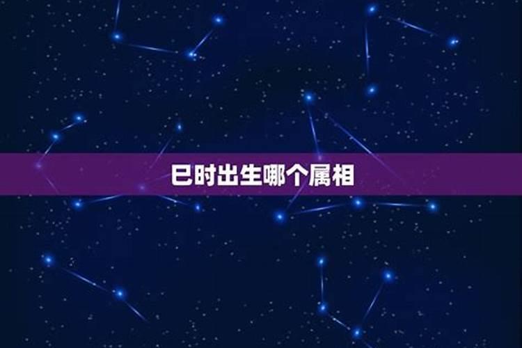 属鸡什么时辰出生最好