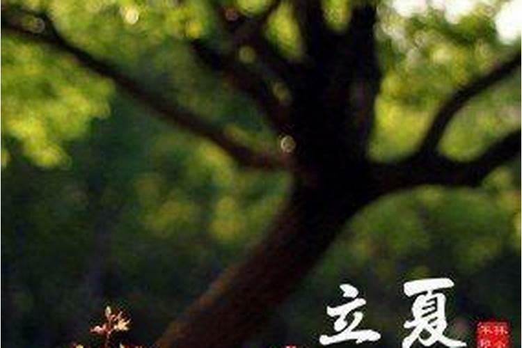 清明节烈士陵园扫墓如何操作