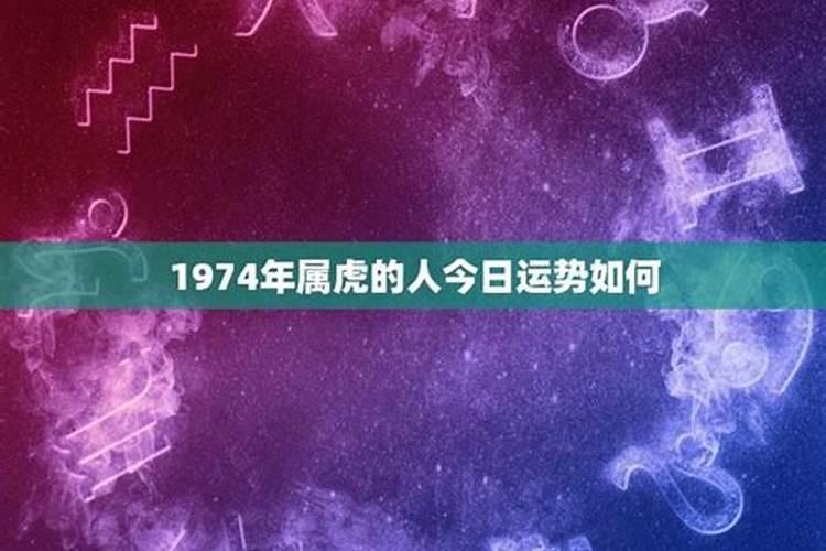 72年鼠在2025年的每月运势