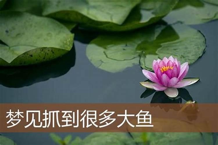 2025年初五是黄道吉日吗为什么