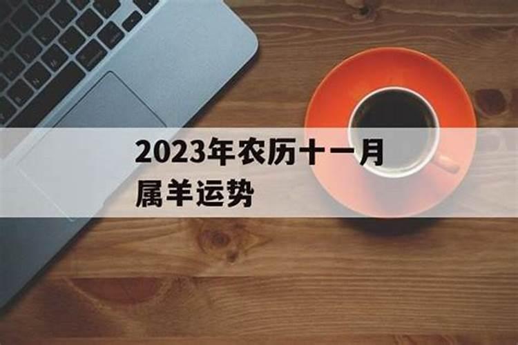 属羊2025运势及运程详解