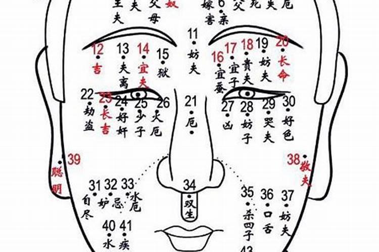 2025属鼠人运势