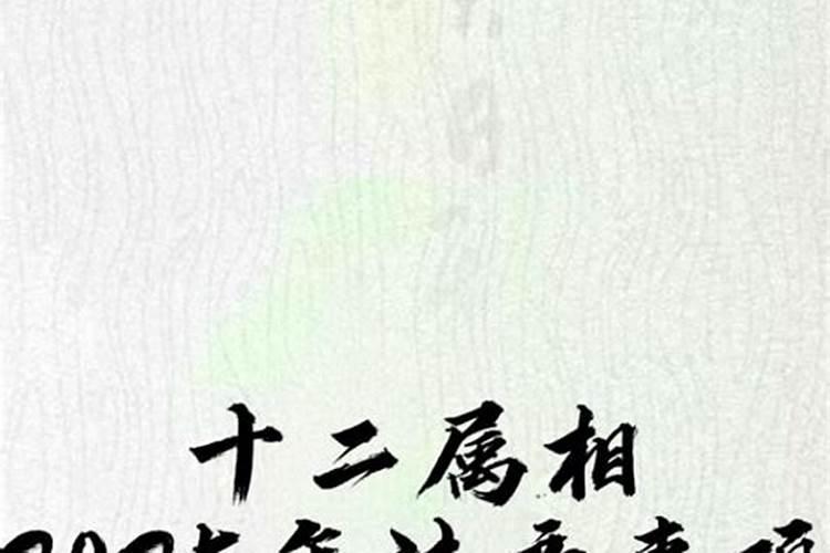 小人老是挑事怎么处理