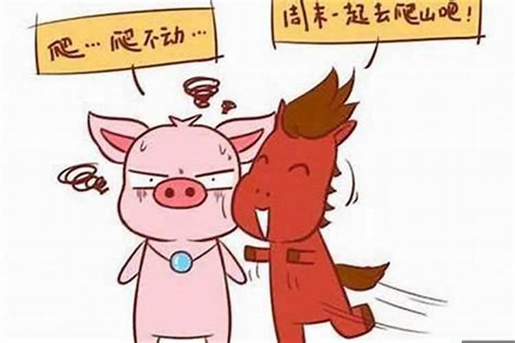 属马和属猪的适合做夫妻吗