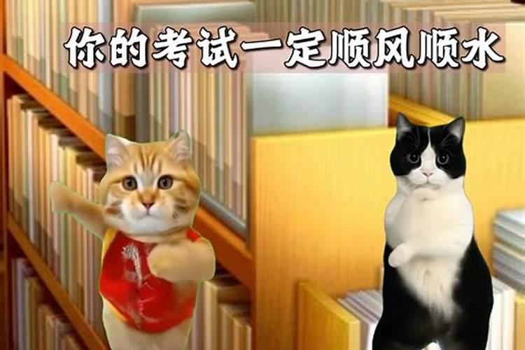 如何赏析苏味道《正月十五夜》这首诗？