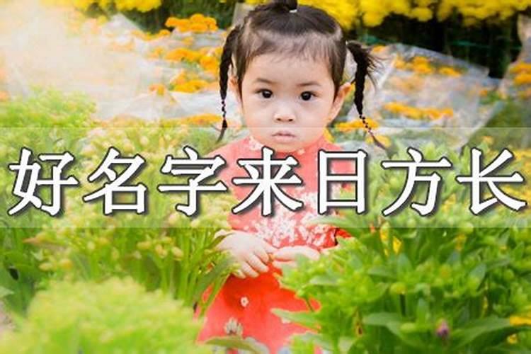 阴债法事流程
