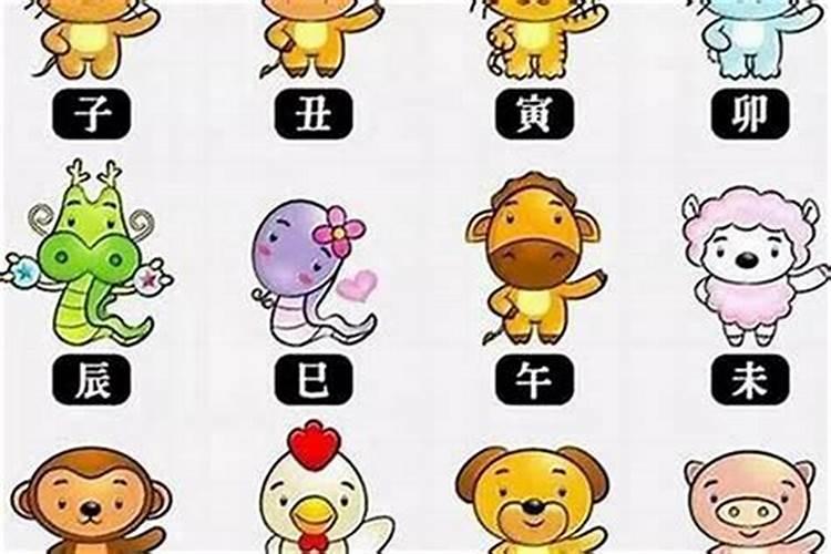 56年属什么生肖56年属猴人运势