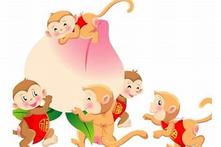 1996年几月鼠命苦