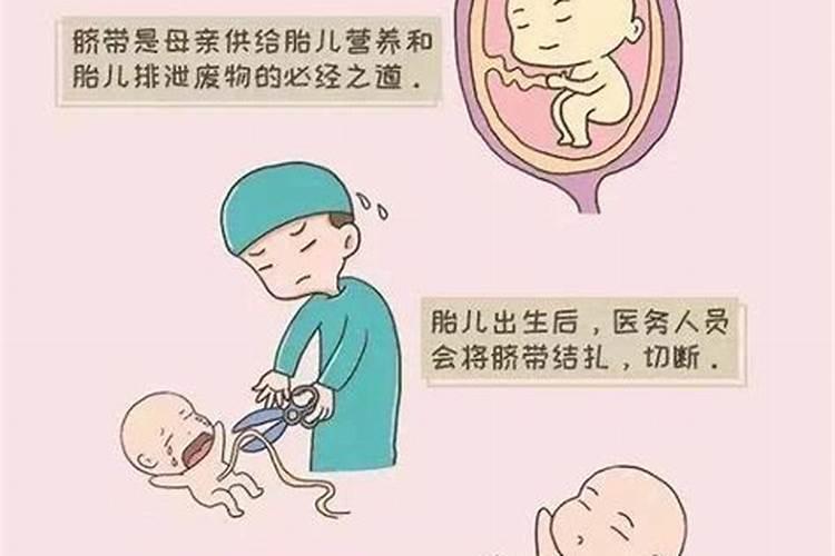 属兔本命年前一年为什么特别不顺 如何转运？