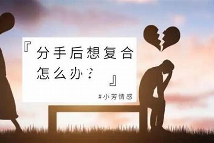 情侣复合的最灵的方法,情侣怎么和好