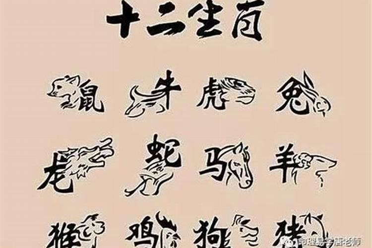 77年属蛇2025的运势
