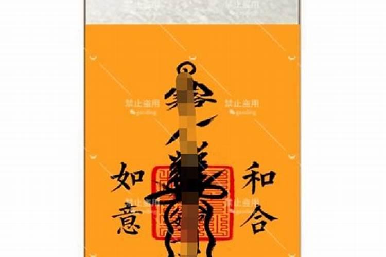 重阳节可以带男朋友回家吗