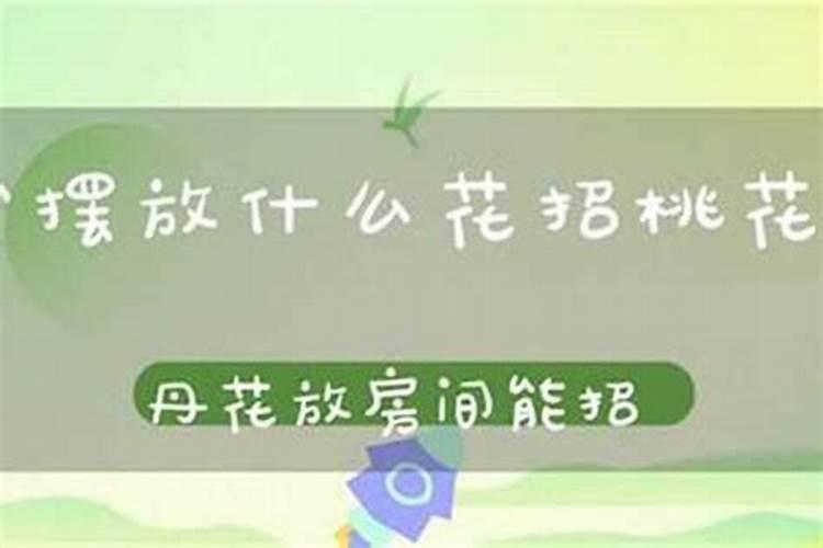 1995属猪的命好不好