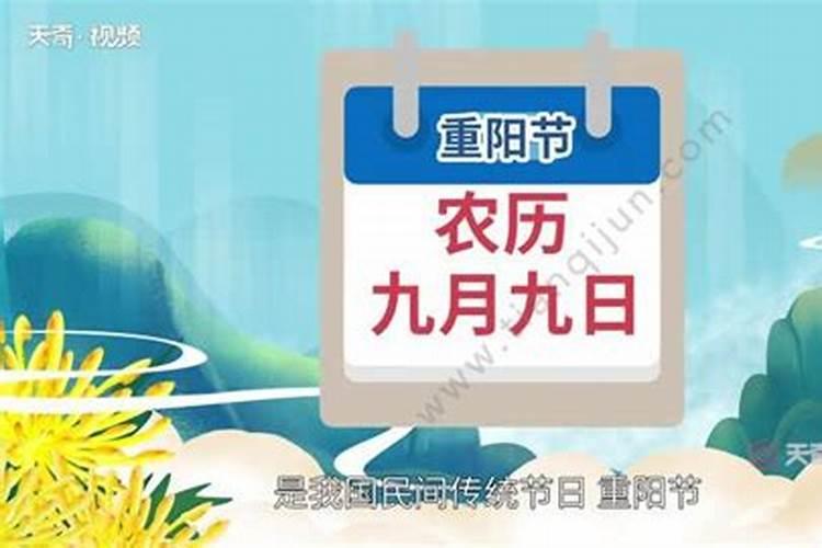 2025属什么生肖蛇什么命