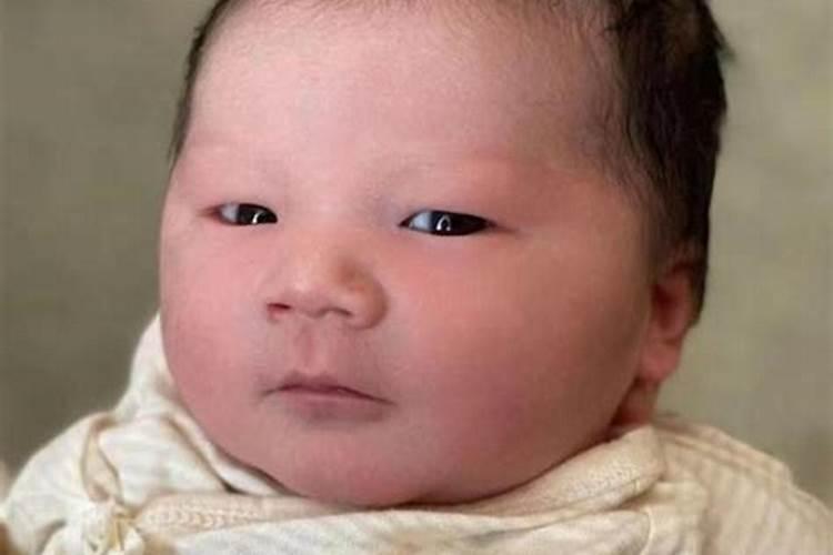 梦见鱼是什么预兆女性周公解梦