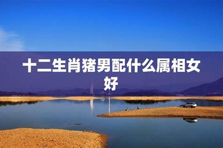 属猪男配什么属相最好
