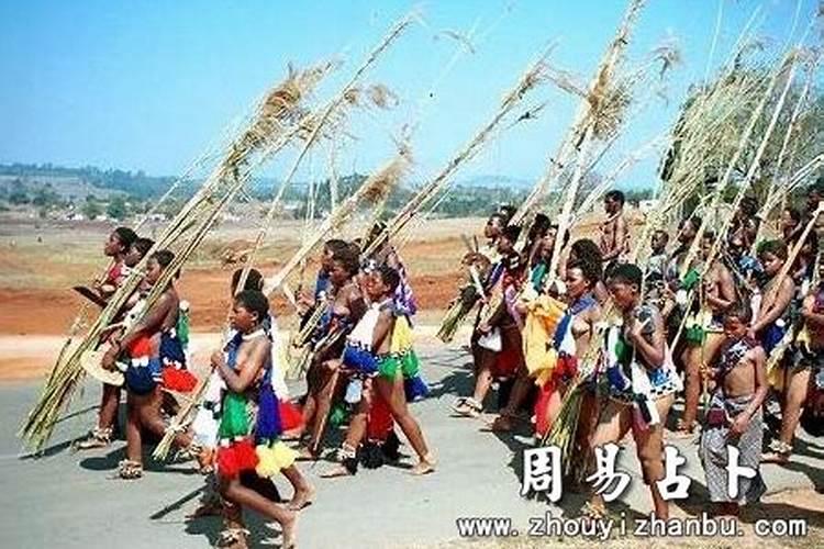 我是1982年农历6月初9出生的是水狗命吗？