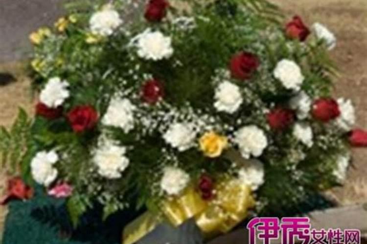 紫微命盘解析——紫微星在子、午