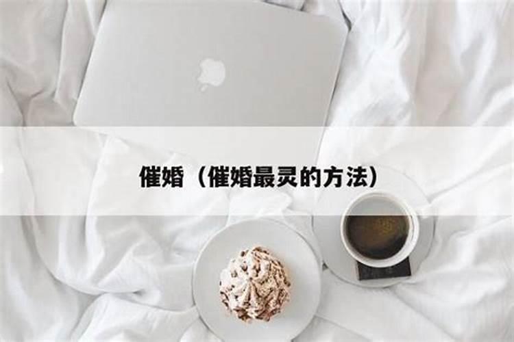 周公解梦梦见鸡蛋