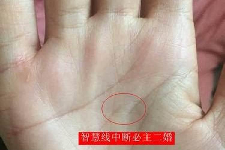 各种手相特征分析有什么特点？