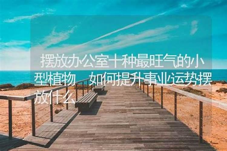 什么风水最旺事业运好