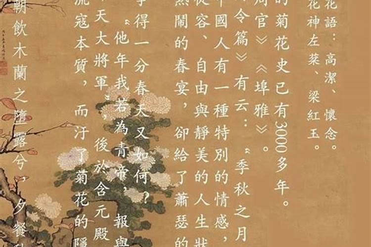 七九年九月初一命运