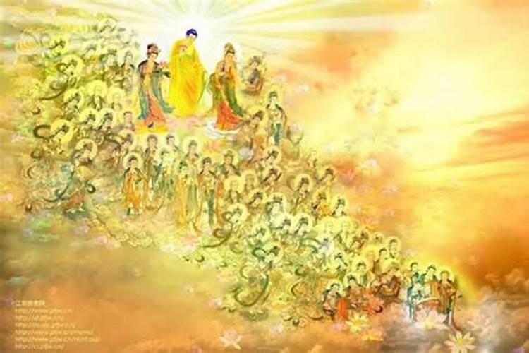 2025属虎人什么颜色最旺