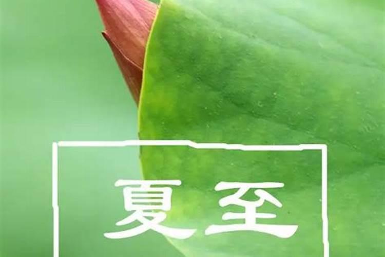 达？猜一个生肖