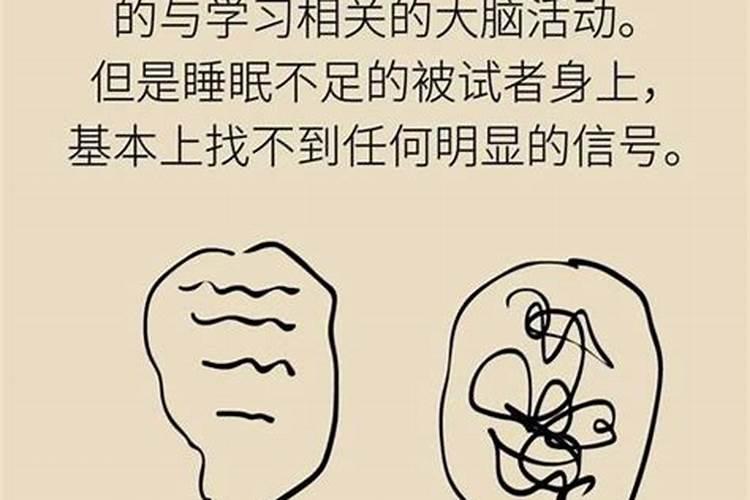 梦见上厕所但是厕所好臭的预兆