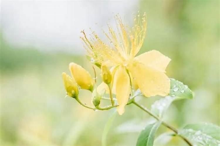 中元节需要给父母上坟吗