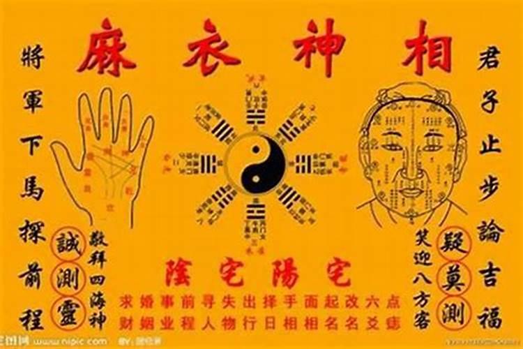 清明节的习俗有什么？