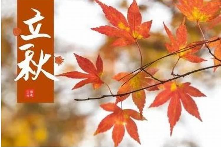 春运值班的说说