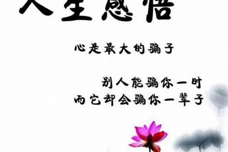 2025年属兔的犯太岁吗