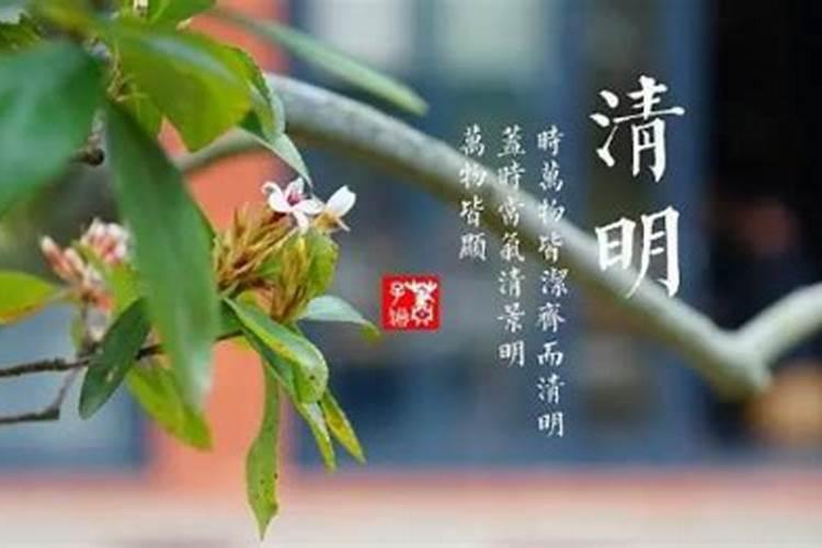 童子代表什么生肖