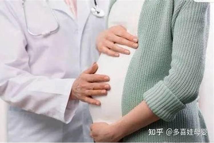 84年鼠哪些年犯太岁