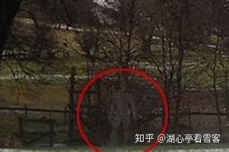 梦见亲戚都来我家吃饭的预兆