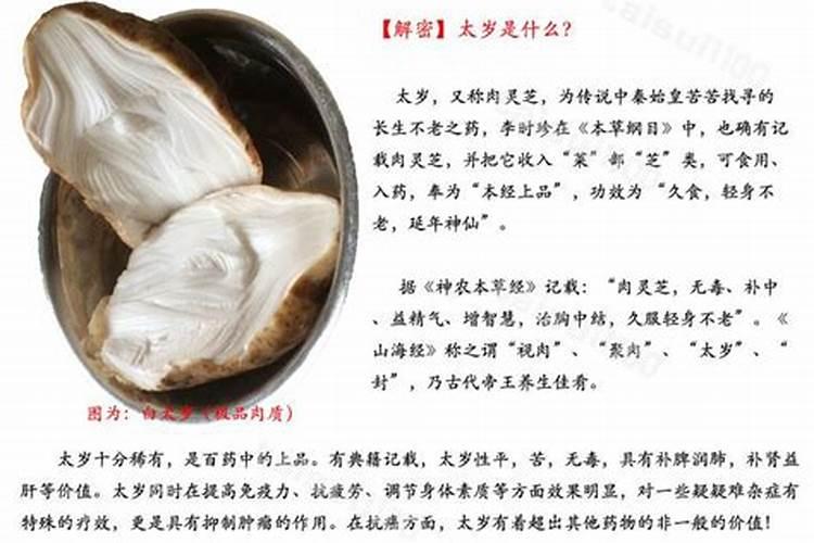 贵州遵义冬天冷吗