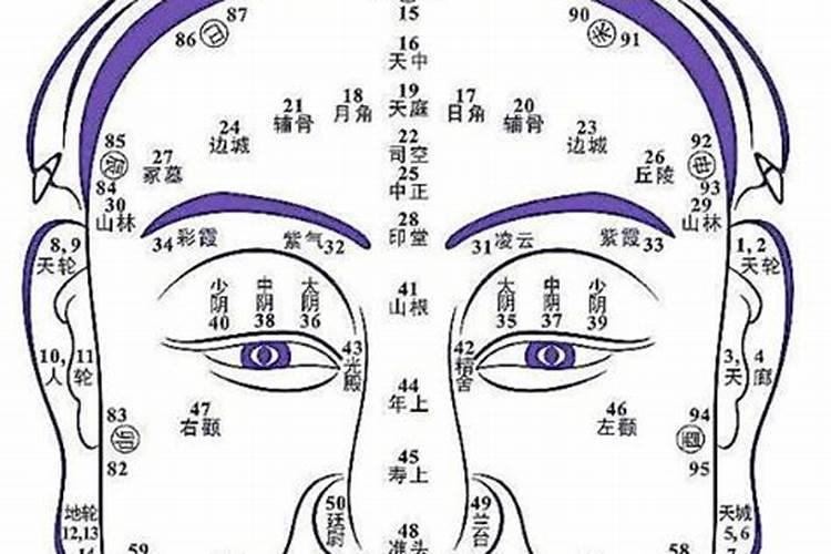 石榴木命几月出生的好