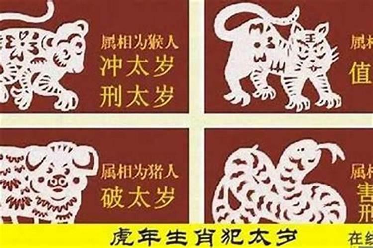 猪年犯太岁怎么办