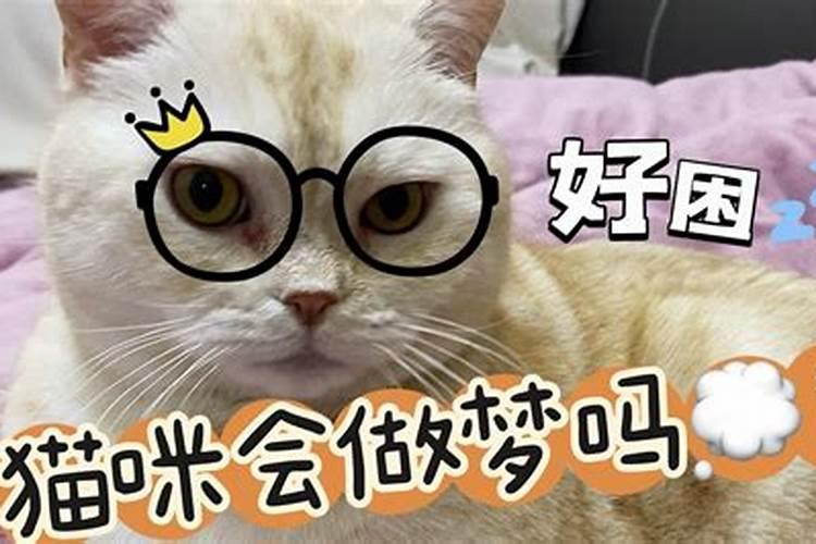 2023年10月23日重阳节老黄历查询