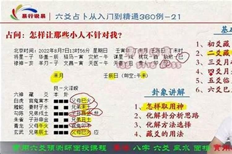 梦见蛇钻进衣服里的预兆