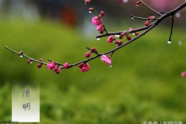 清明节十大禁忌