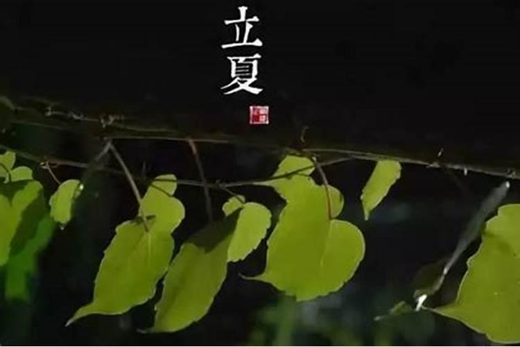 属狗人出生月的命运详解 大家值得一看