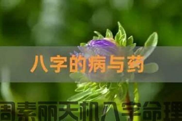 请高手分析一下我的八字,特别是人生事业方面.