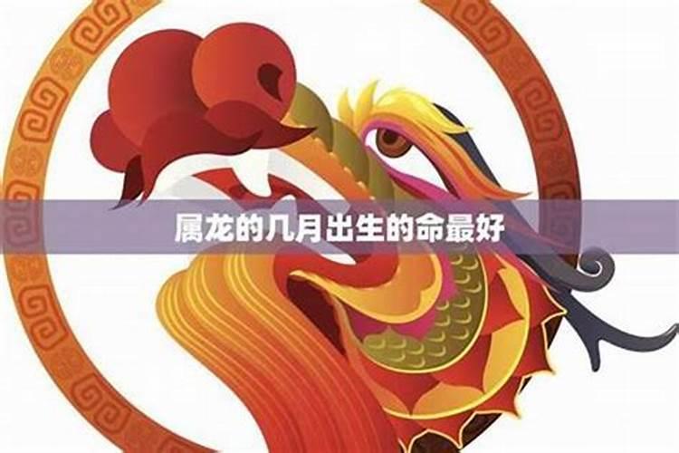 属马人2025年全年运势运程